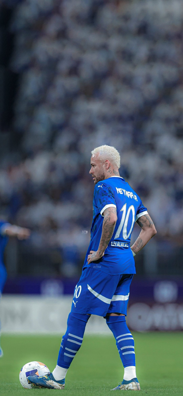 明年二月不 明年二月不